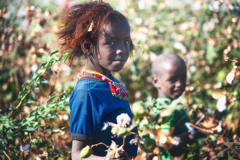 Bambini-nei-campi-di-cotone-Dancali-Etiopia.png