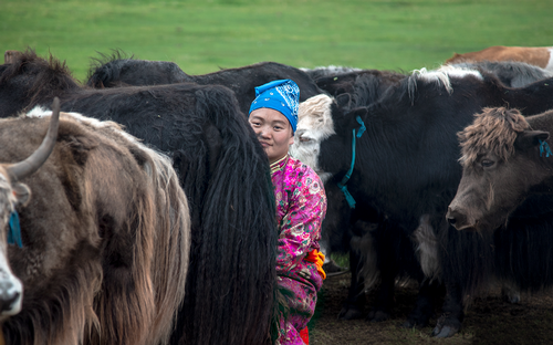 Donna nomade Mungitura Mongolia.png