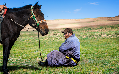 Pastore-Mongolia.png