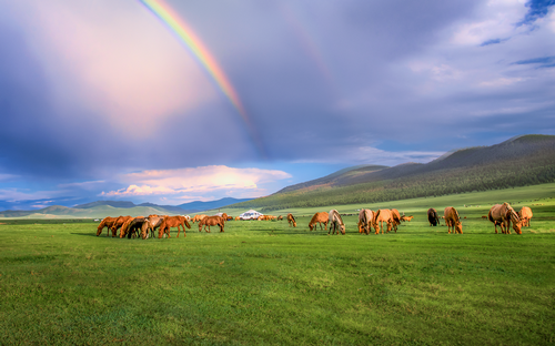 arcobaleno-Mongolia.png